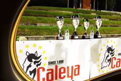 campeones-europa-horseball-1